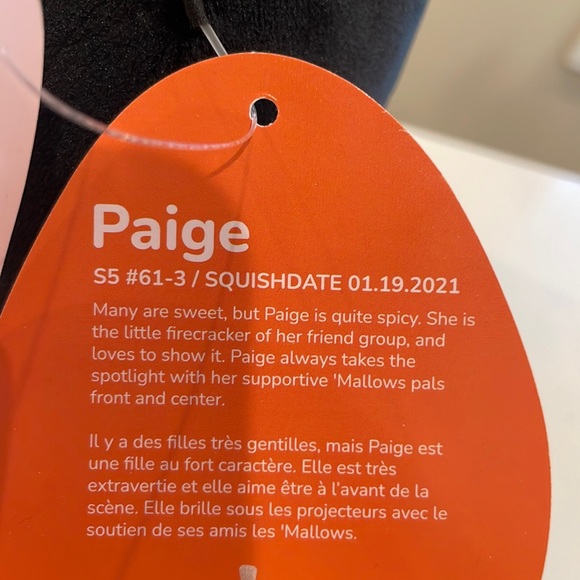 ⚡️NWT 5” Paige the Black & Gold Pumpkin 🎃Halloween Squishmallow - Picture 5 of 5